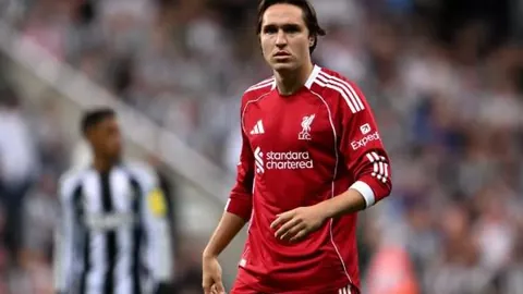 凯发K8 资讯 102128 nom