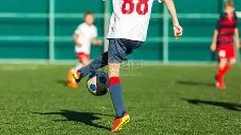 凯发K8 资讯 102151 wbj