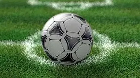 罗马尼亚球员暴力踢伤哲科鼻梁，裁判未出示黄牌