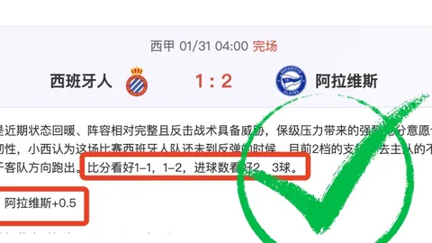 阿塞拜疆U19对立陶宛U19：延续不败专家质合推荐分析